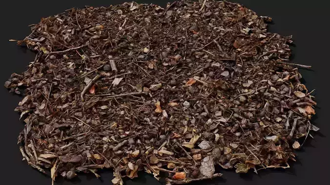 forest ground patch debris pt1 detail PBR photogrammetry