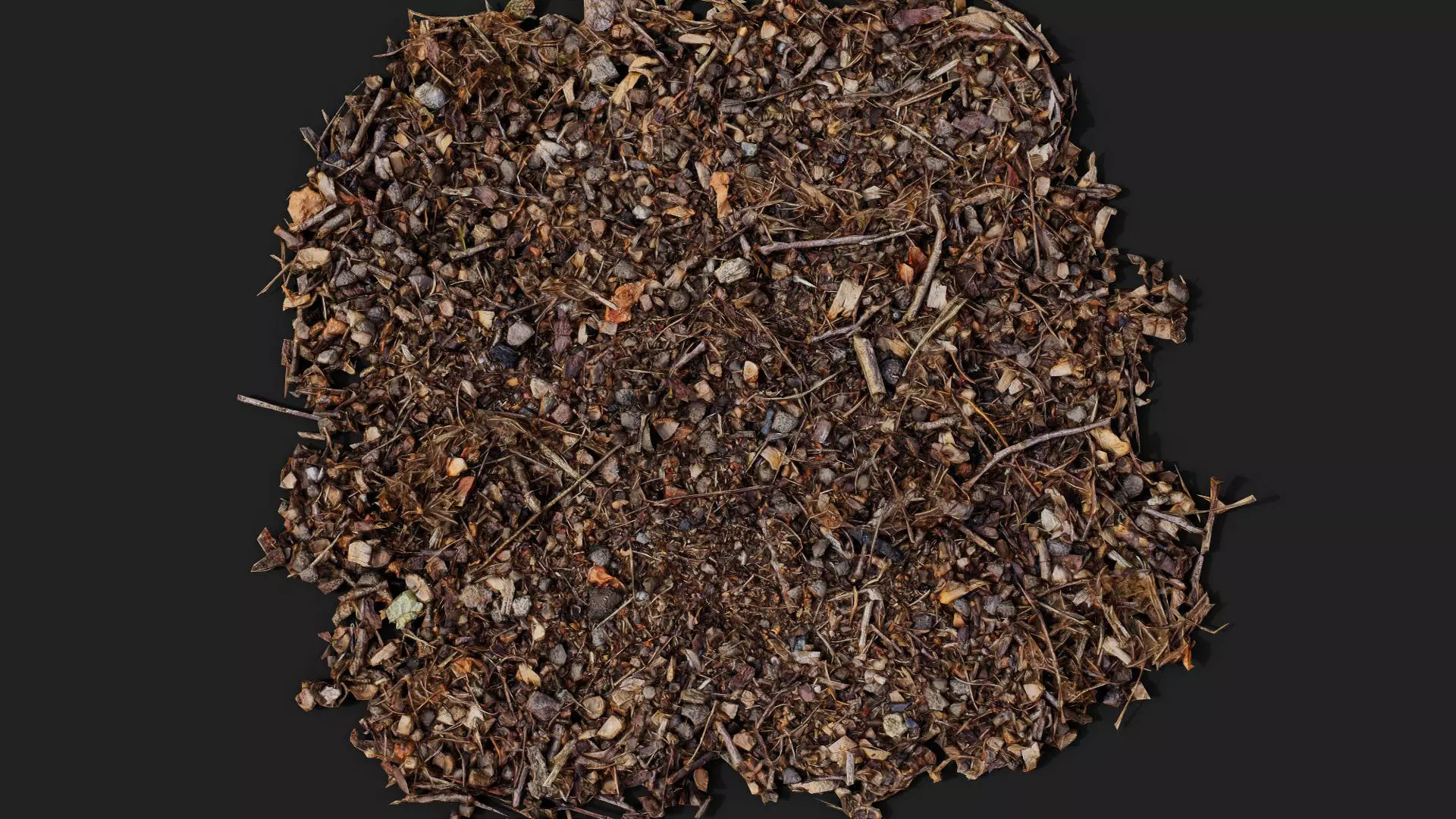 forest ground patch debris pt1 detail PBR photogrammetry Low-poly 3D model_1