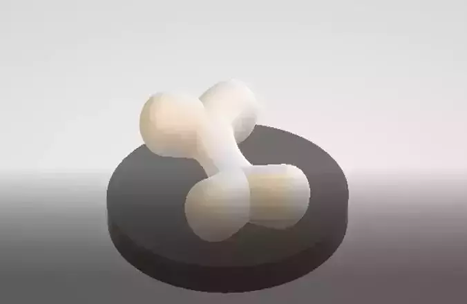 3D bone model 