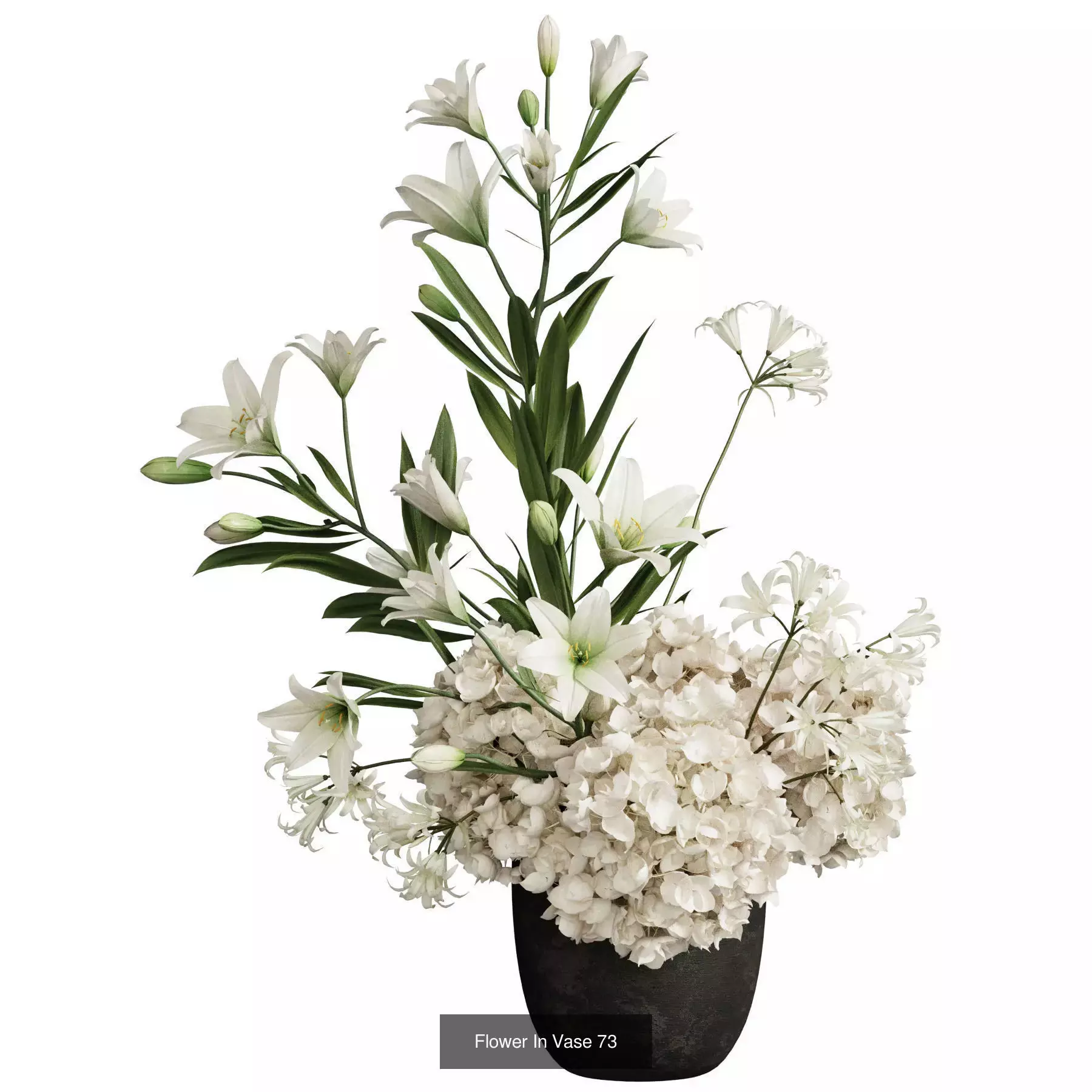 Flower In Vase Collection 09 _4