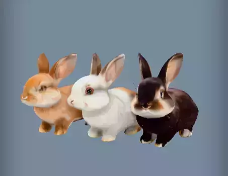 3d Model Three Small Rabbits
