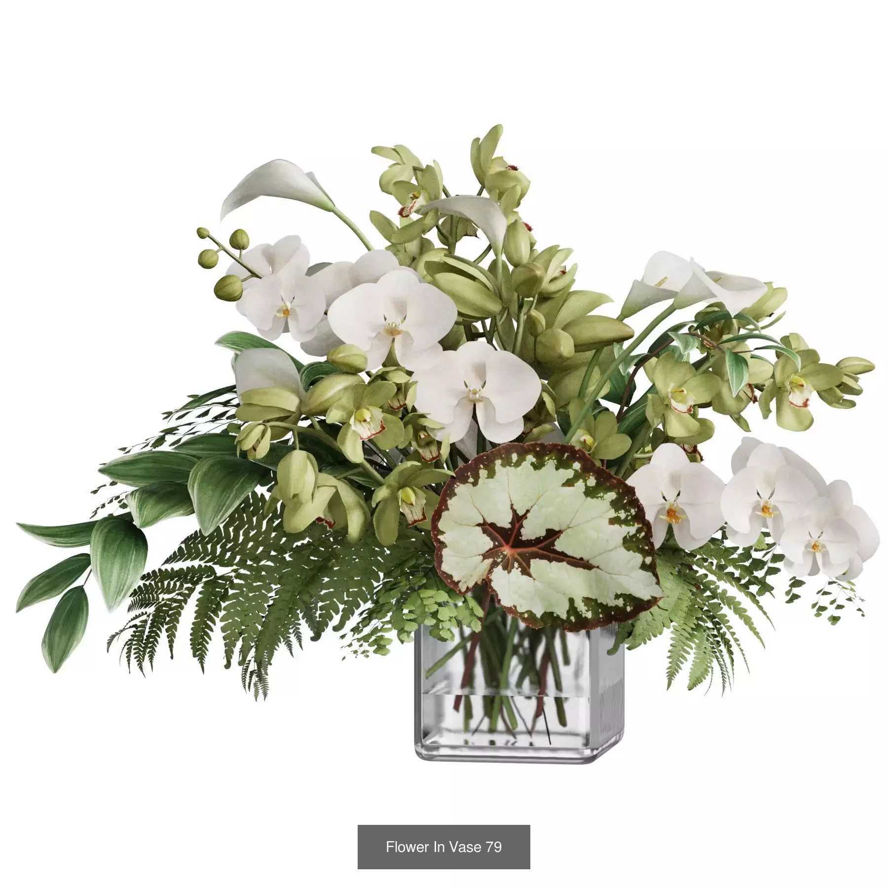 Flower In Vase Collection 10 _2