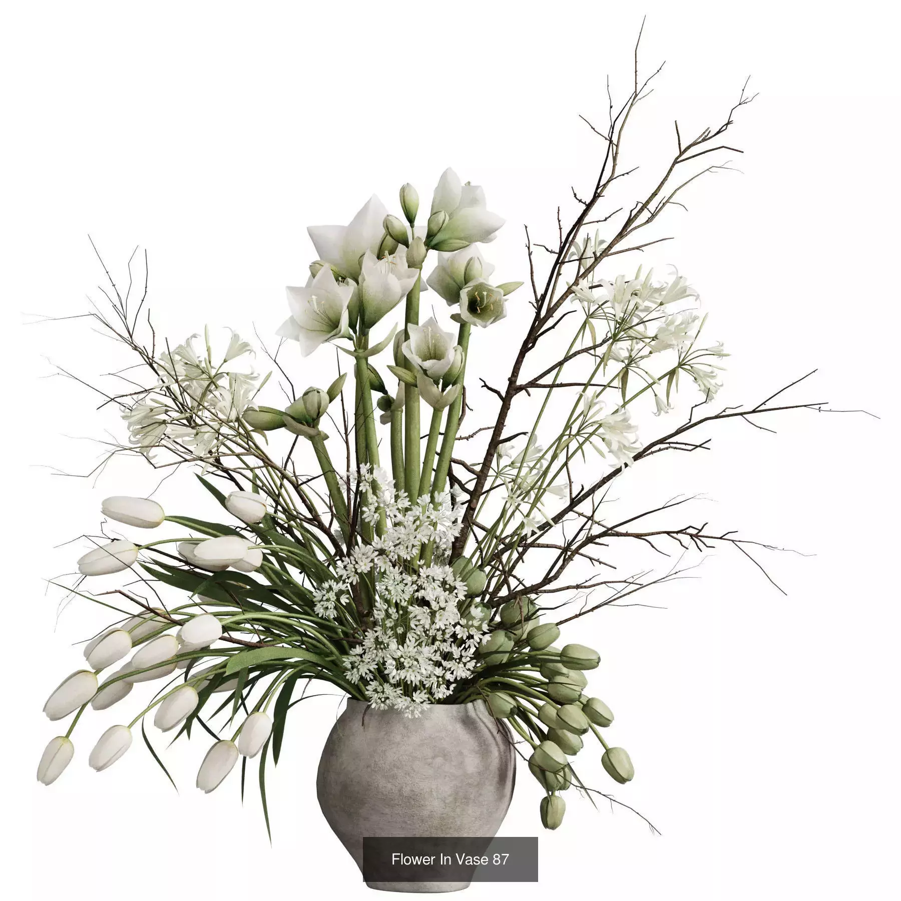 Flower In Vase Collection 11 _2