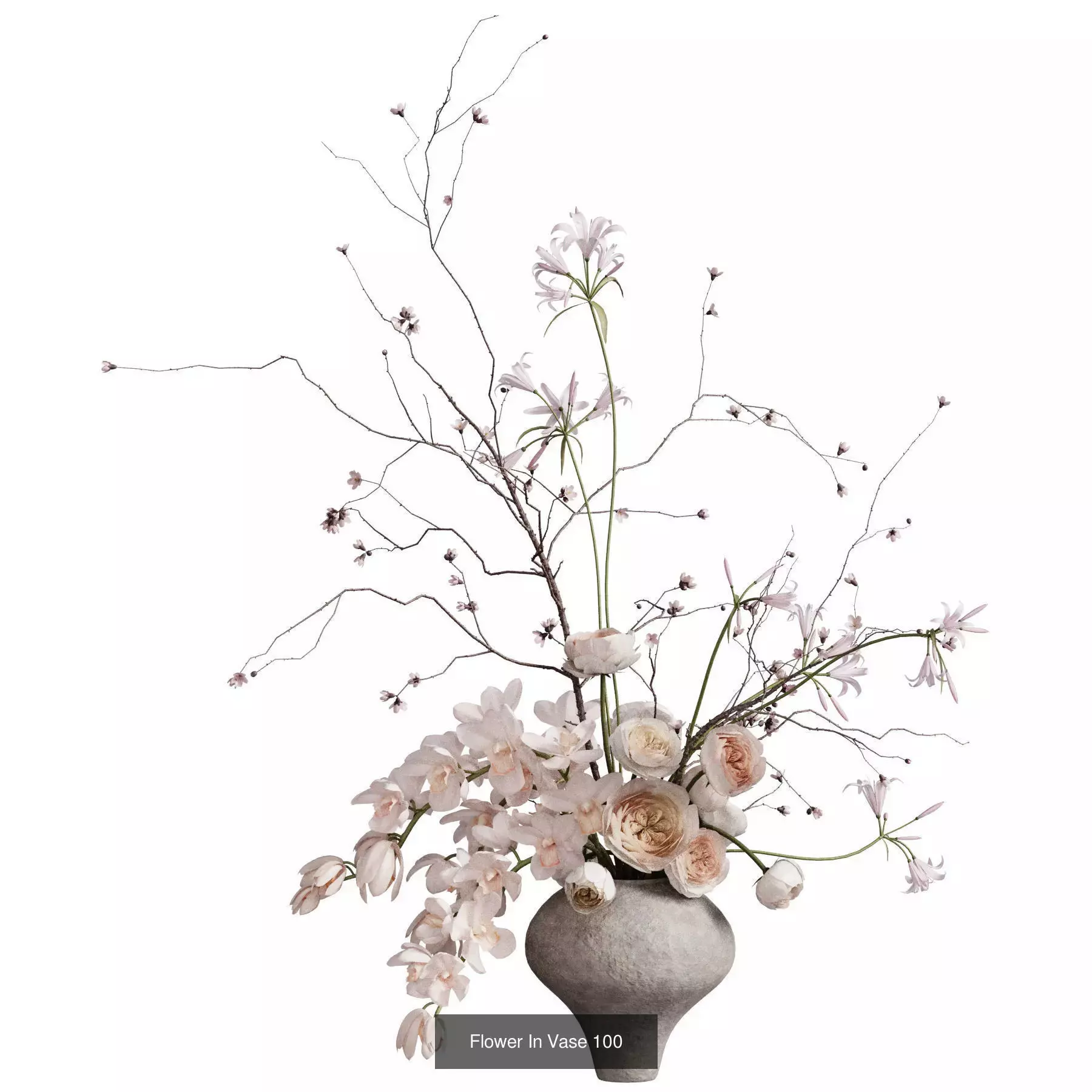 Flower In Vase Collection 12 _7