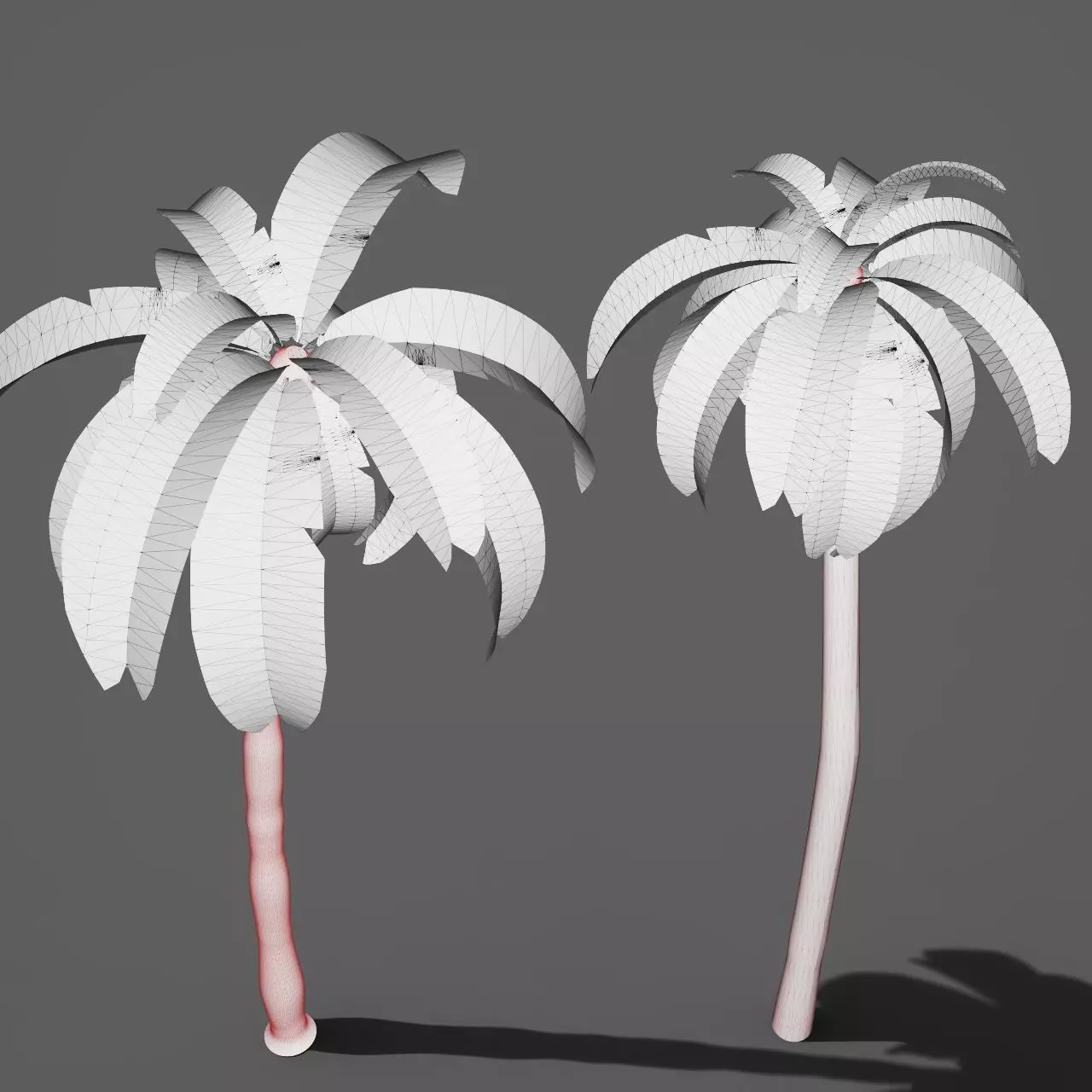 Palm trees 3D model_7