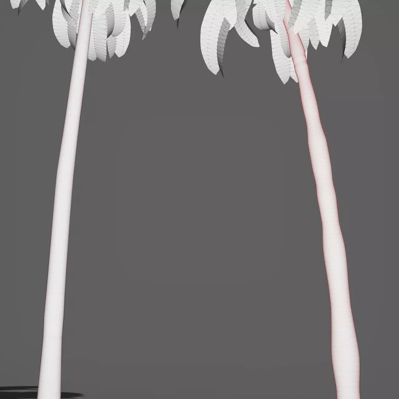 Palm trees 3D model_8