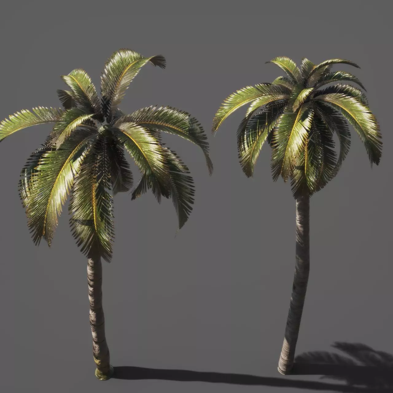 Palm trees 3D model_1