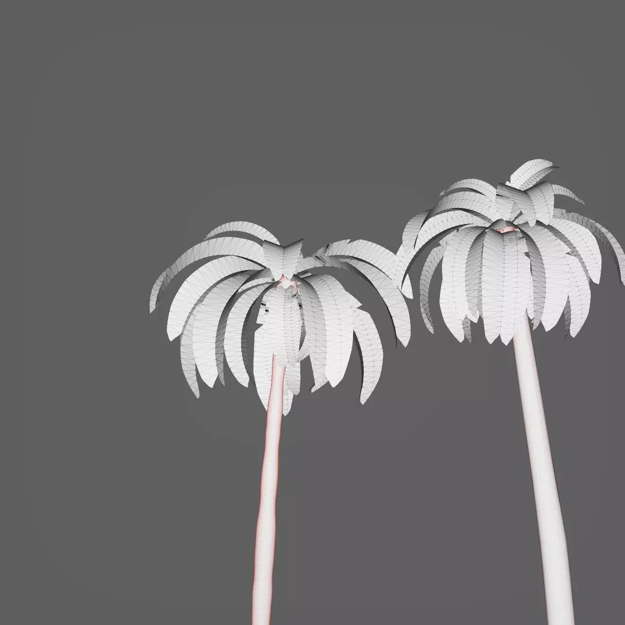 Palm trees 3D model_9