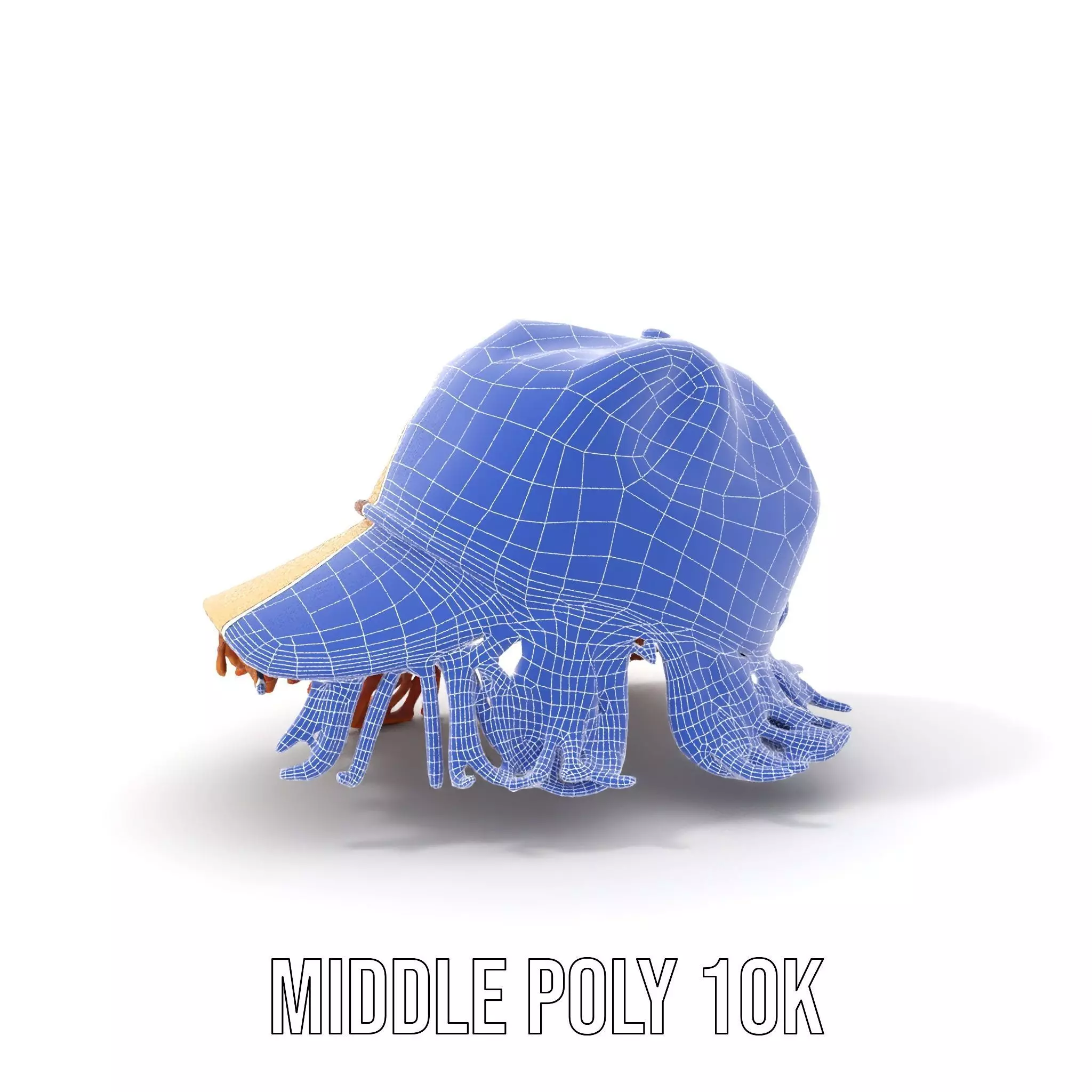 Beige Fringe Cap model pack Low-poly 3D model_24