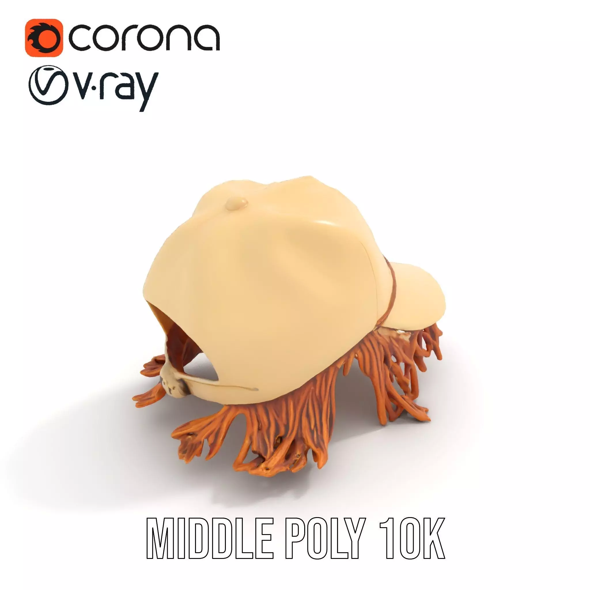 Beige Fringe Cap model pack Low-poly 3D model_21