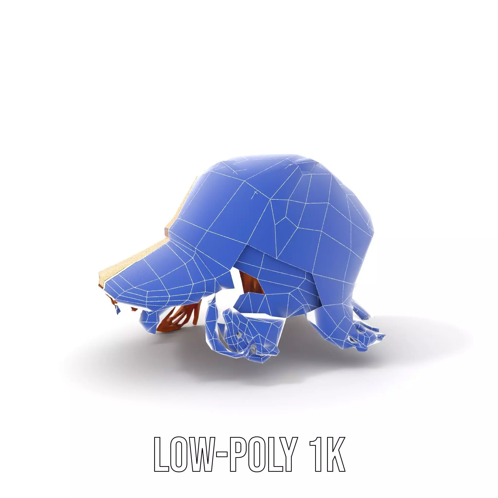 Beige Fringe Cap model pack Low-poly 3D model_22