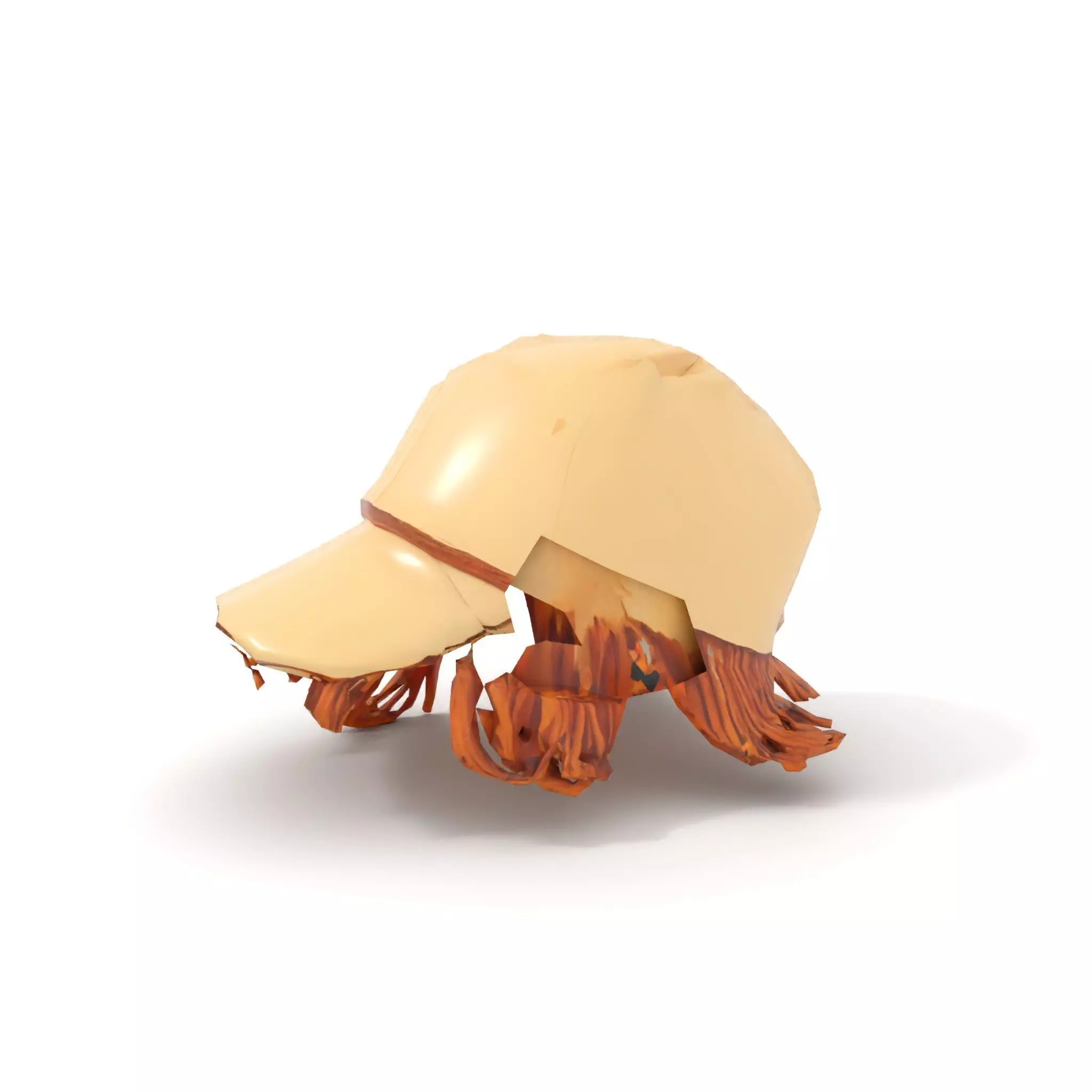 Beige Fringe Cap model pack Low-poly 3D model_7