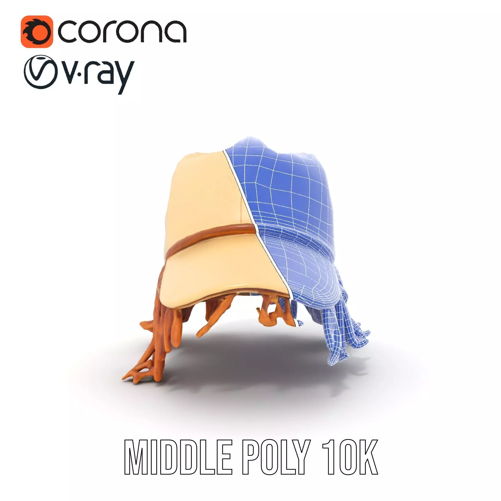 Beige Fringe Cap model pack Low-poly 3D model_29