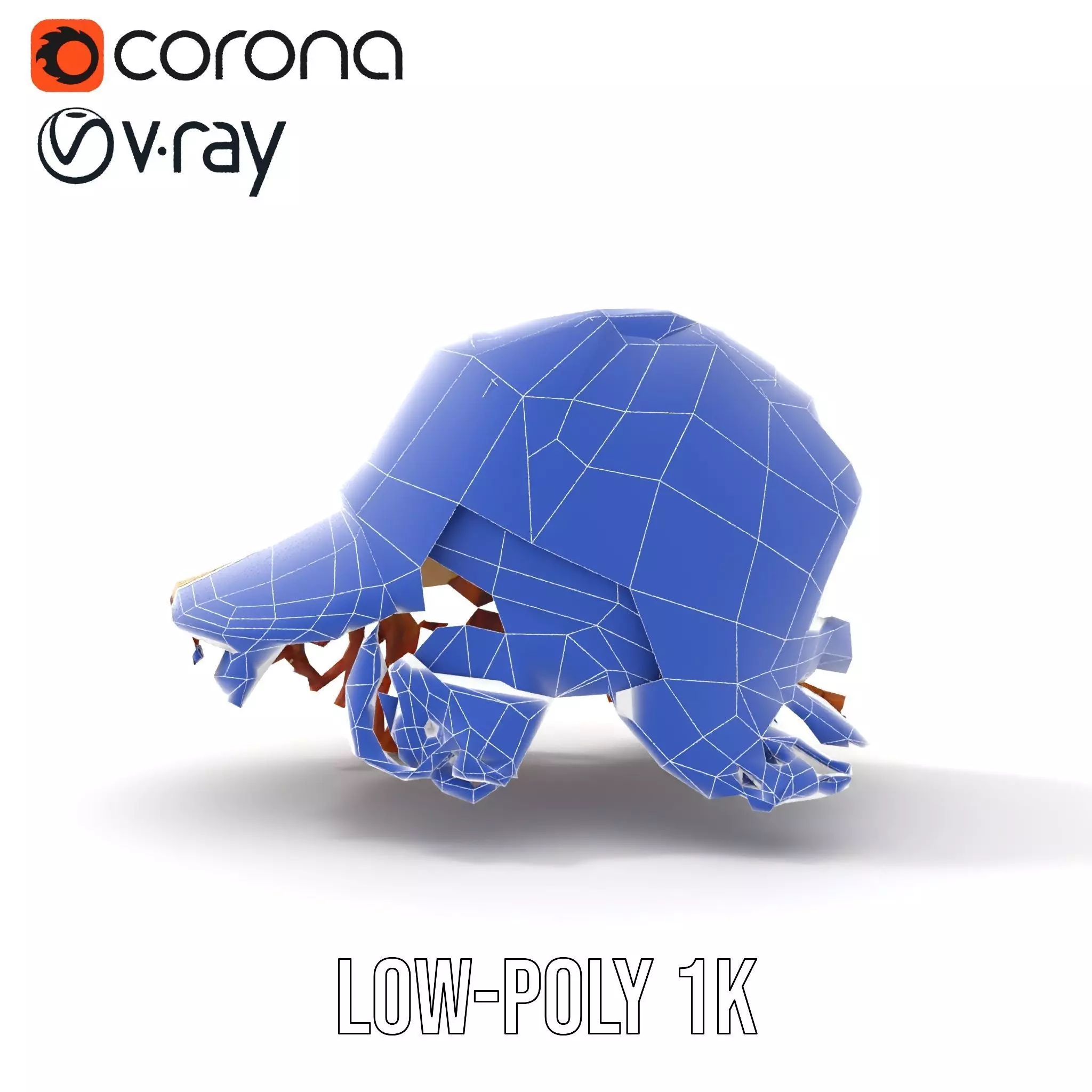 Beige Fringe Cap model pack Low-poly 3D model_27