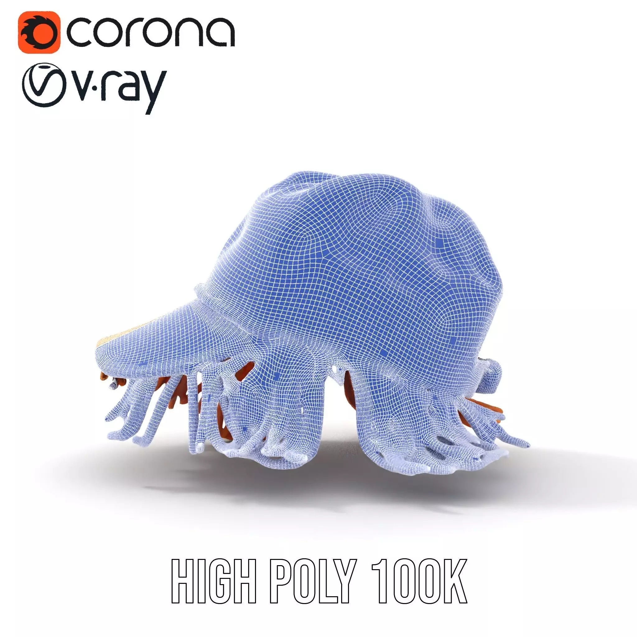 Beige Fringe Cap model pack Low-poly 3D model_23