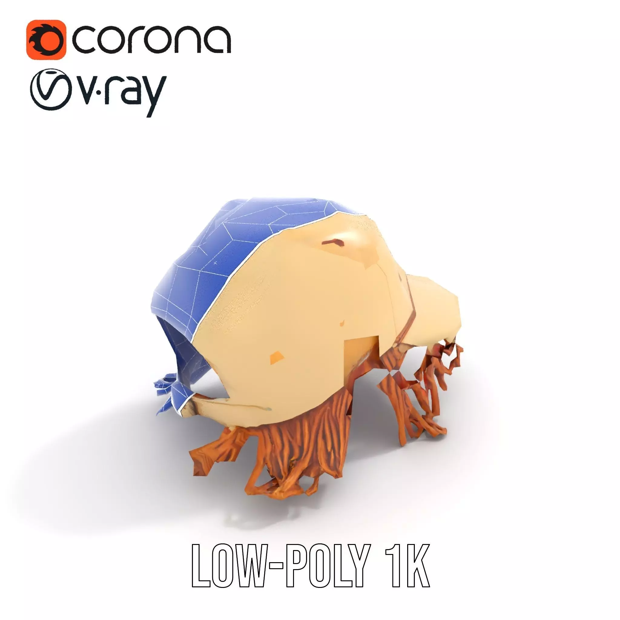 Beige Fringe Cap model pack Low-poly 3D model_30