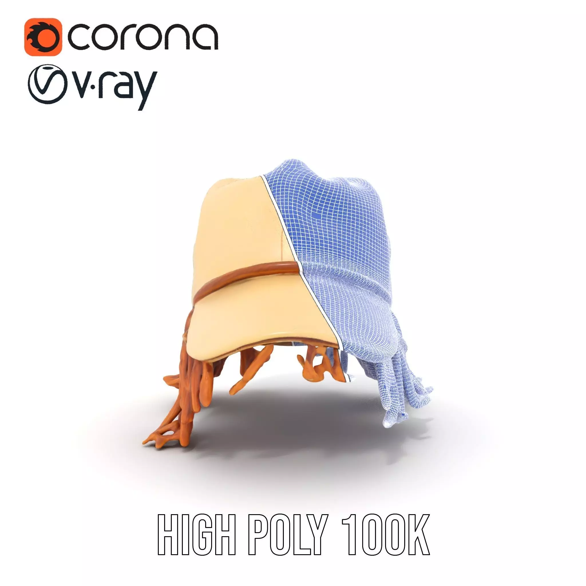 Beige Fringe Cap model pack Low-poly 3D model_34