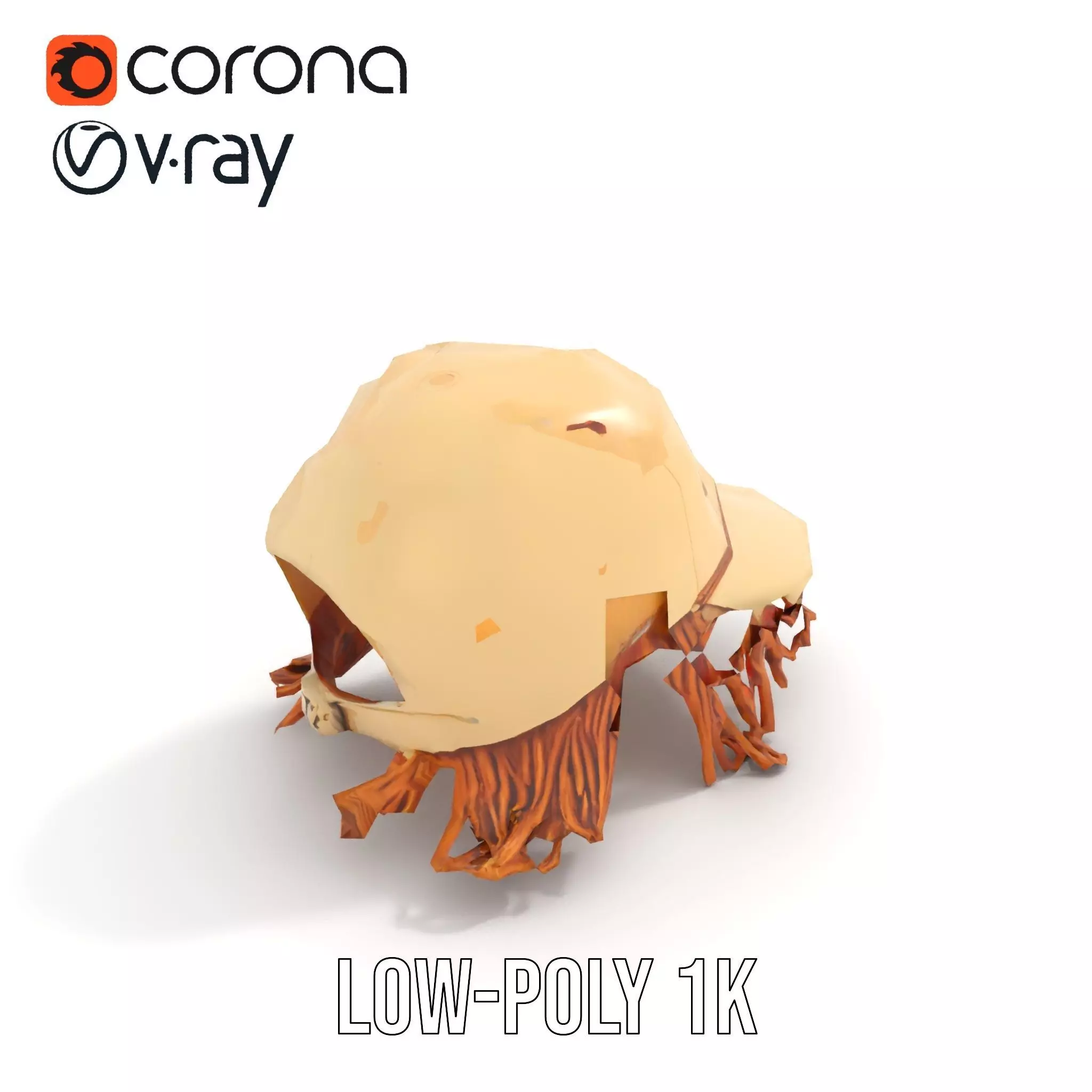 Beige Fringe Cap model pack Low-poly 3D model_9