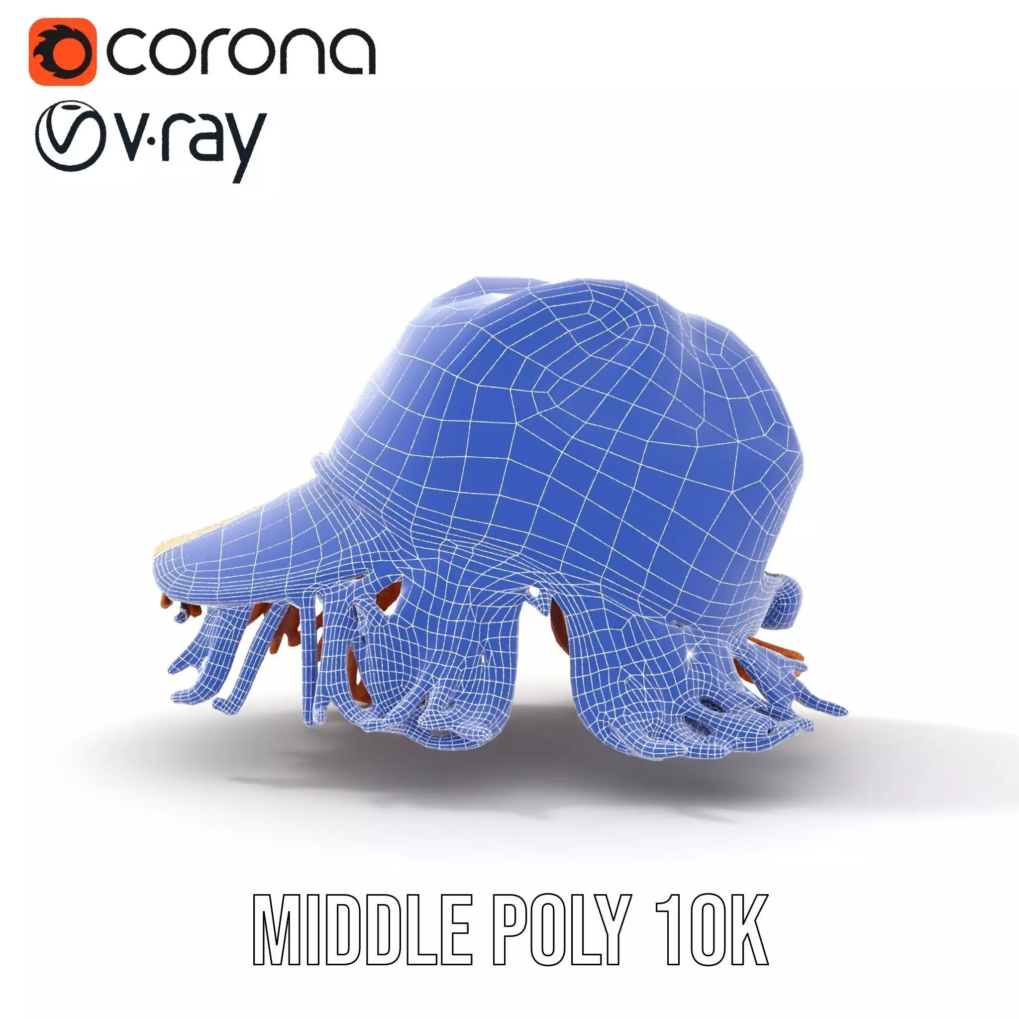 Beige Fringe Cap model pack Low-poly 3D model_26