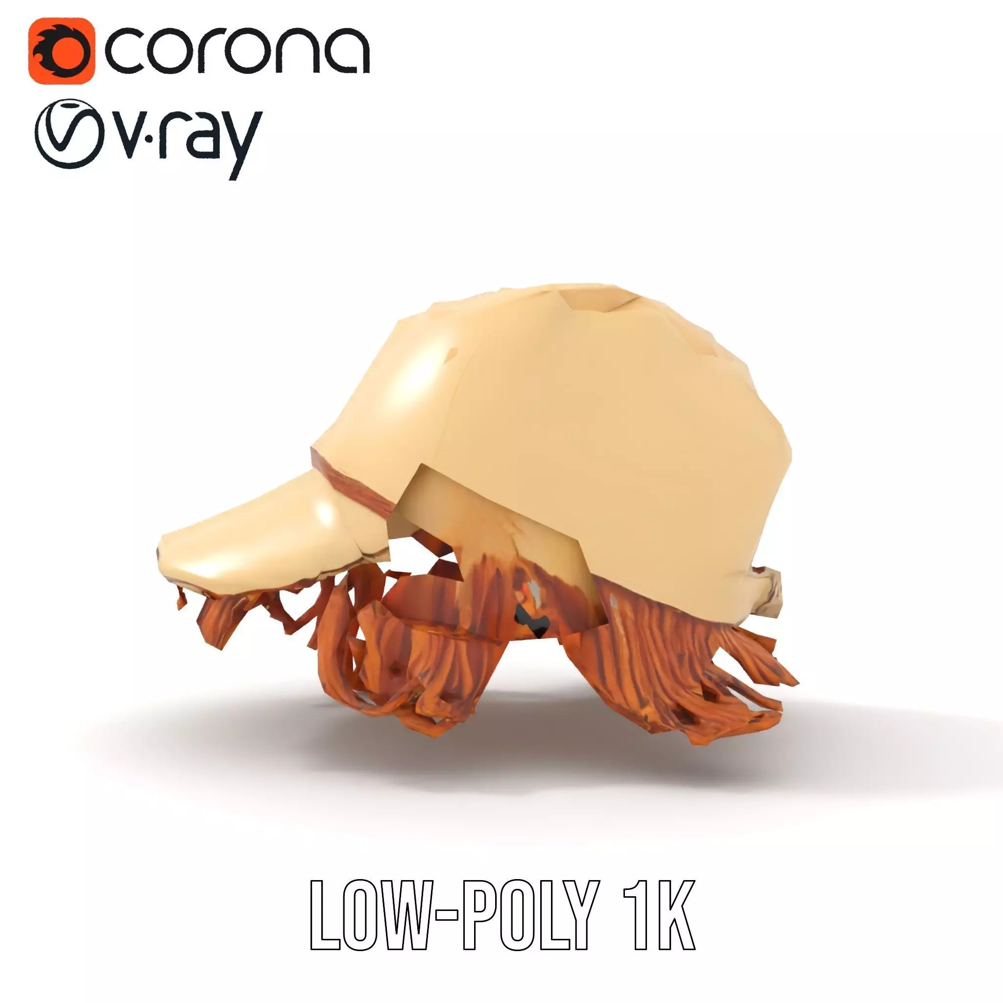 Beige Fringe Cap model pack Low-poly 3D model_19