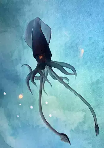 Squid 3D print sculpt  3D print model