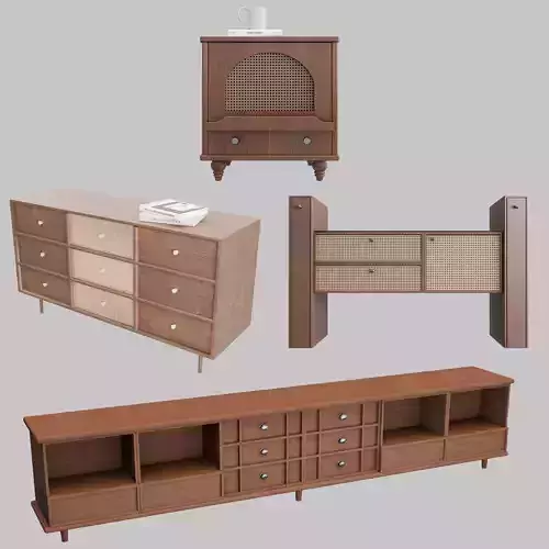 Modern Wood  Cane Furniture Collection Set of 4