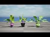 Kohlrabi Vegetable Plants Pack Low-poly 3D model_1