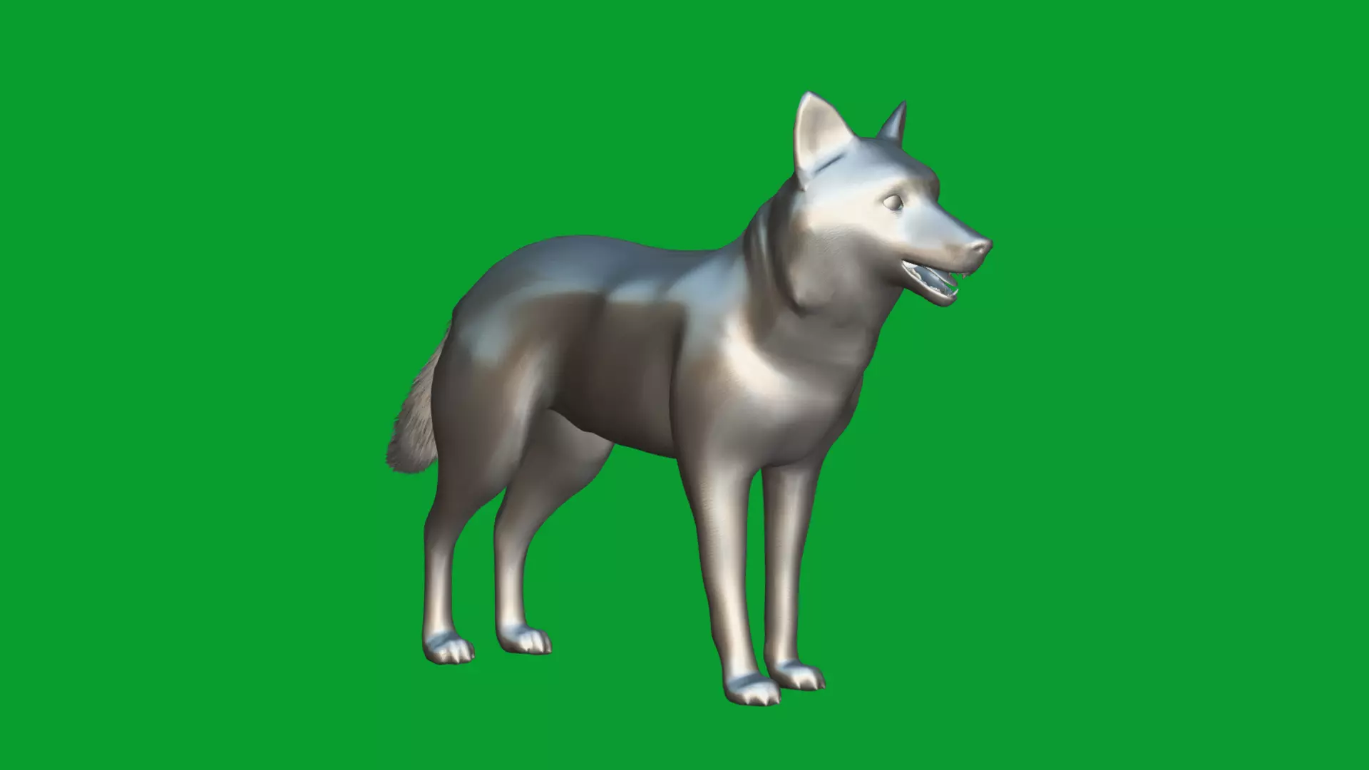 Eurasian Grey Wolf Low-poly 3D model_18
