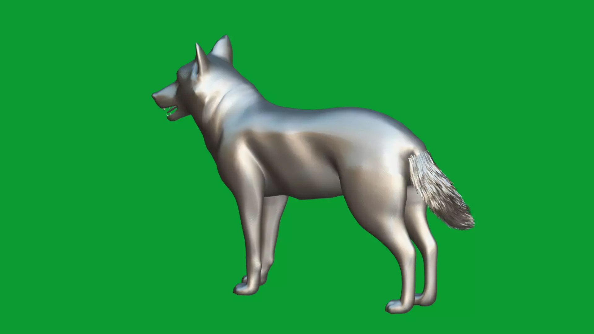 Eurasian Grey Wolf Low-poly 3D model_13