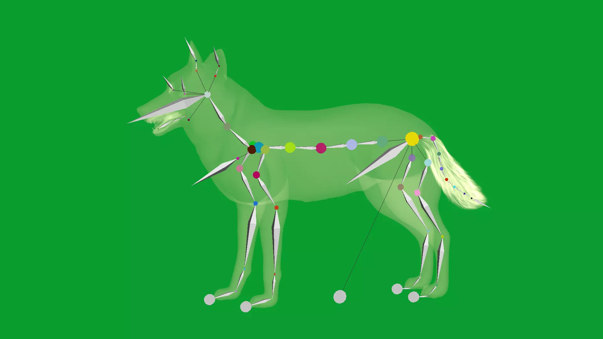 Eurasian Grey Wolf Low-poly 3D model_26