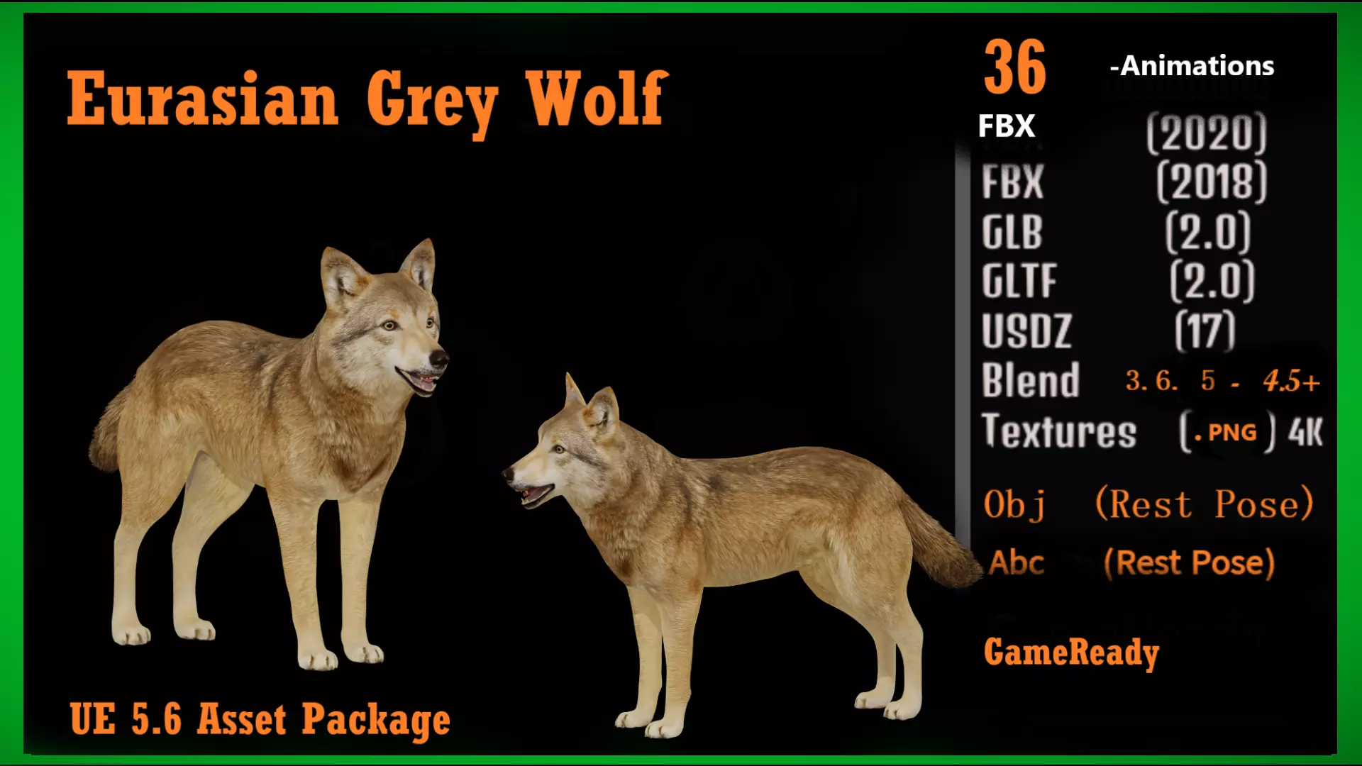 Eurasian Grey Wolf Low-poly 3D model_3