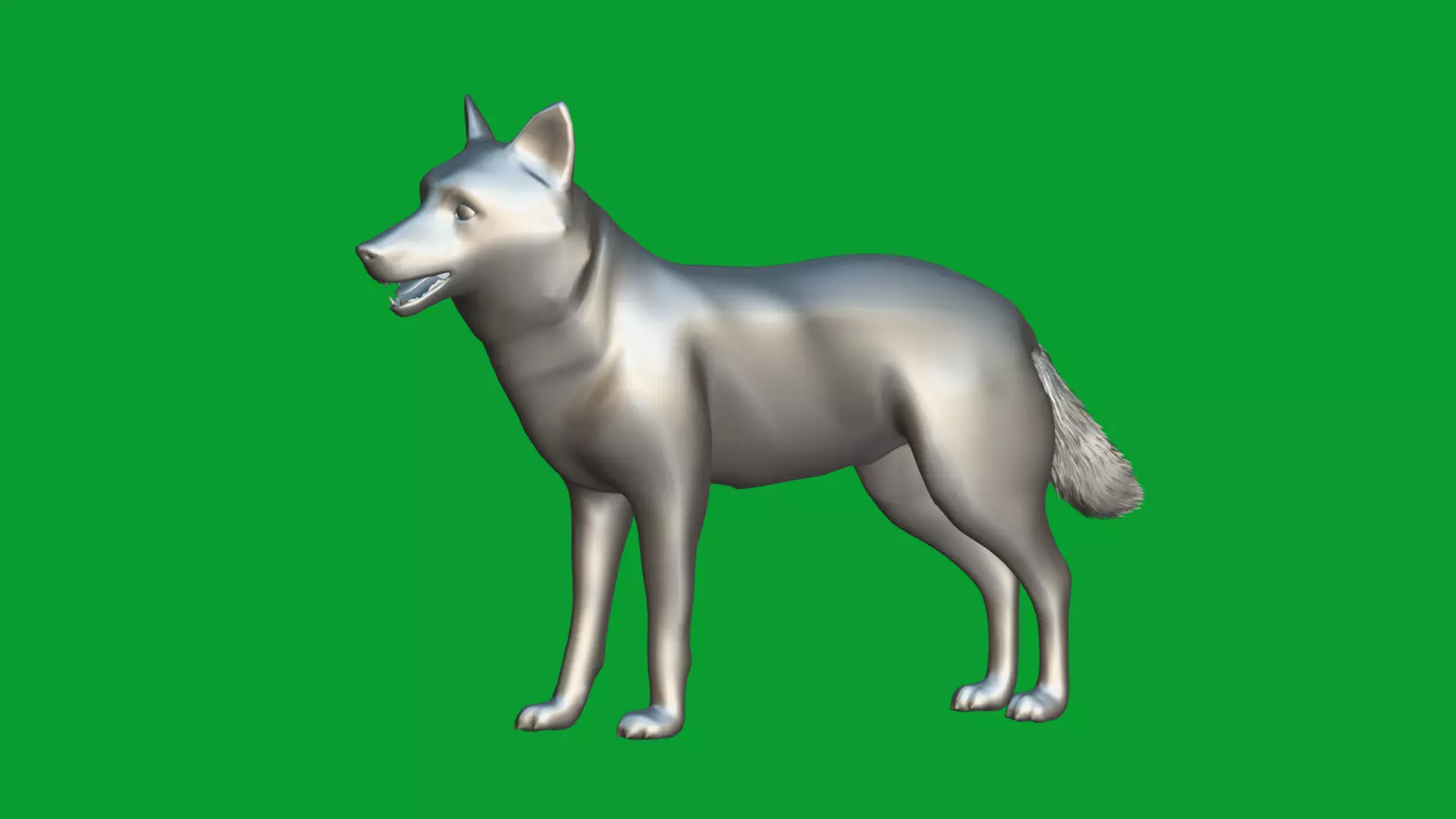 Eurasian Grey Wolf Low-poly 3D model_28