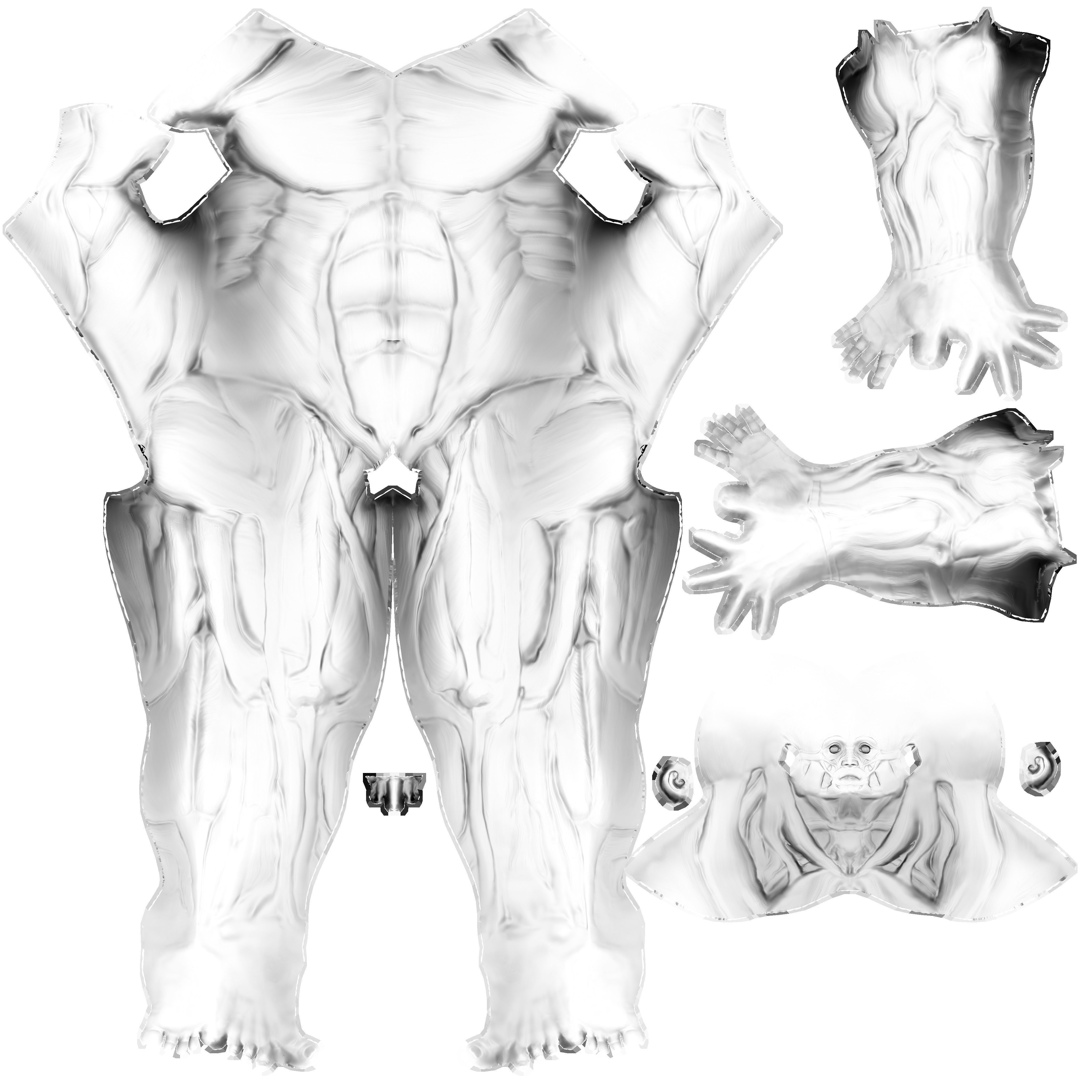 Ecorche - Human anatomy model 3D model_2