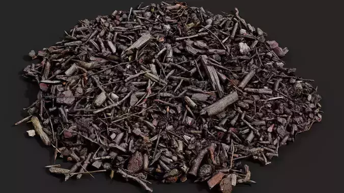 forest ground patch debris pt2 detail PBR photogrammetry