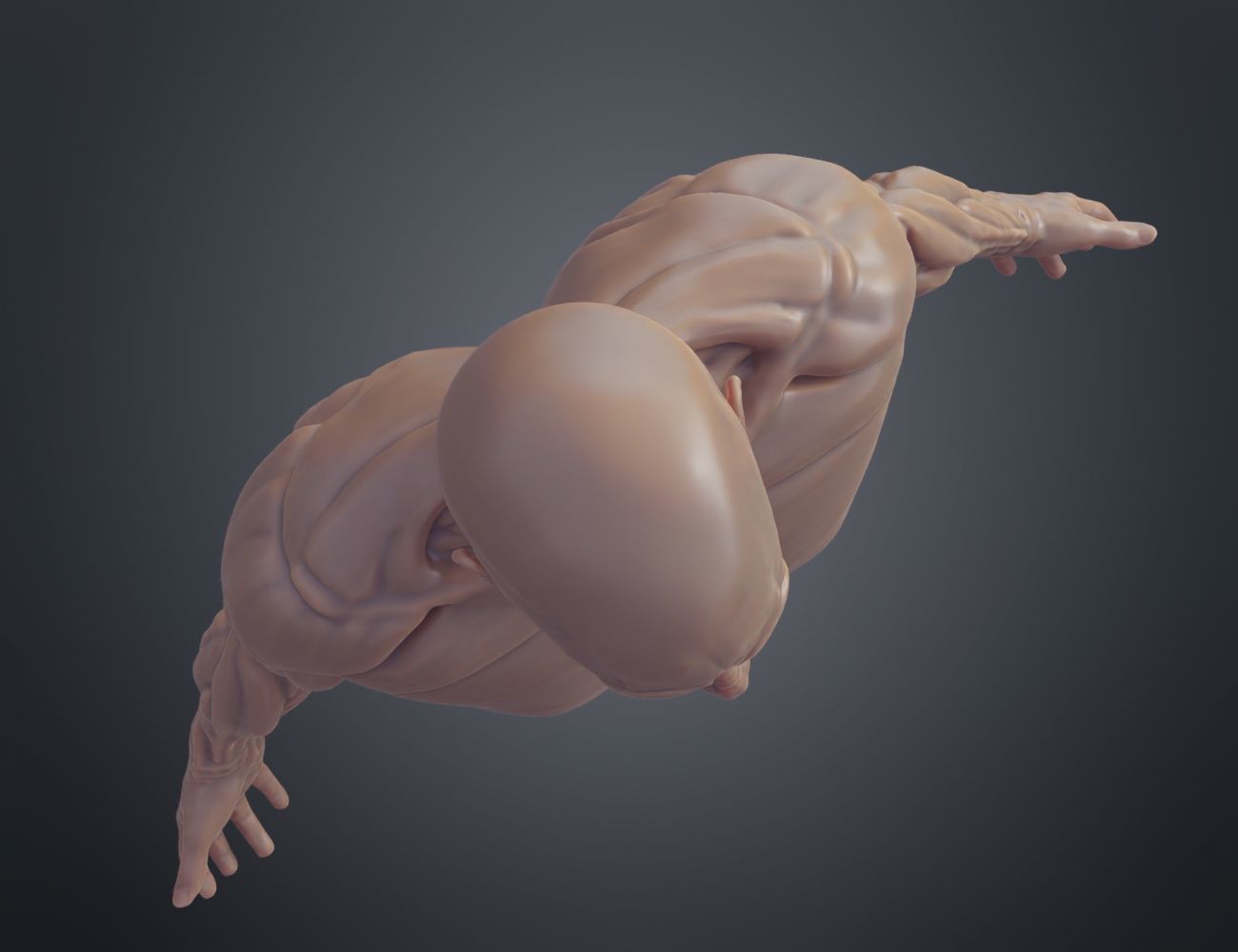 Ecorche for printing 3D print model_8