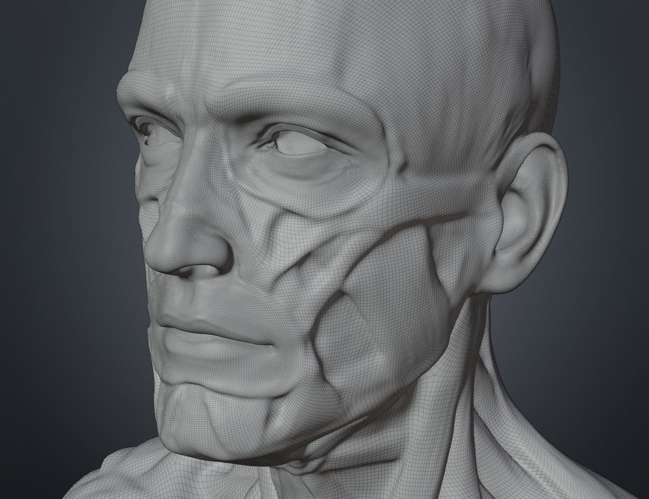 Ecorche for printing 3D print model_13