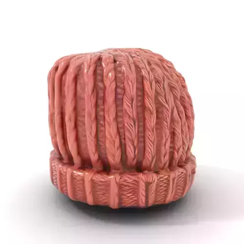Cozy Knit Hat model pack