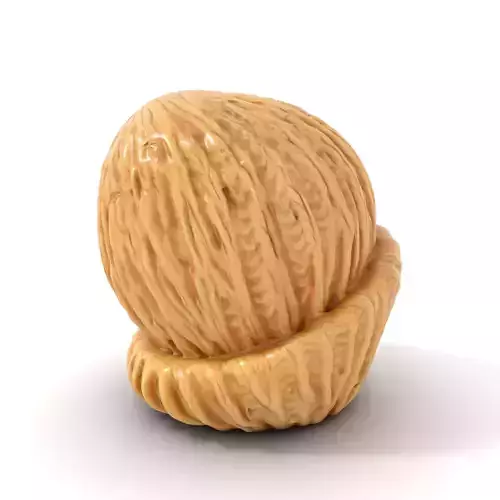 Cream Knit Beanie model pack