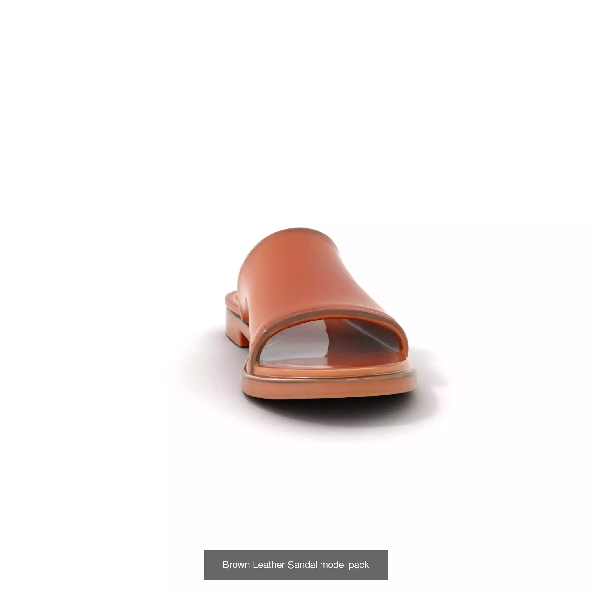 Chic Footwear Models Pack 3D Model Collection_41