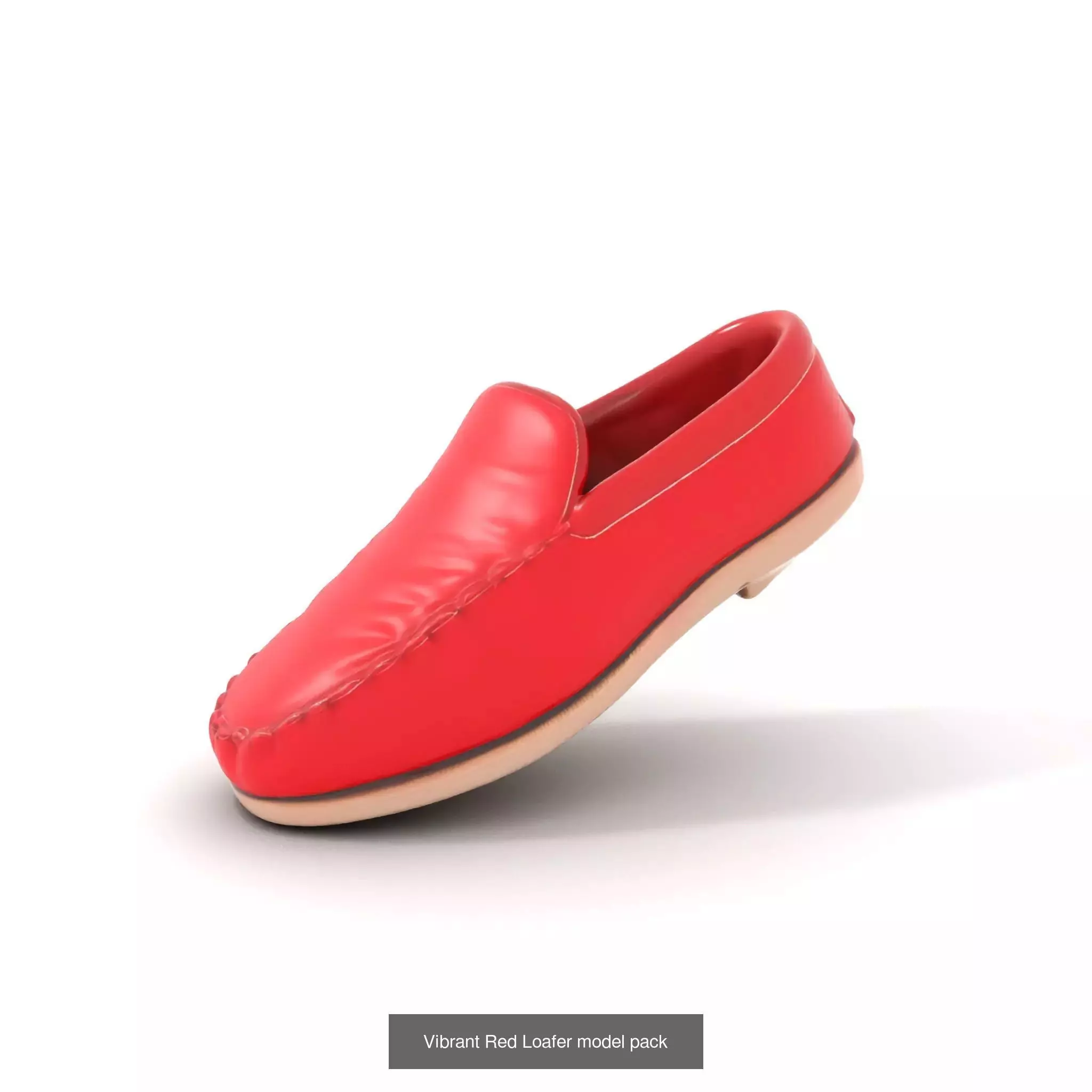 Chic Footwear Models Pack 3D Model Collection_31
