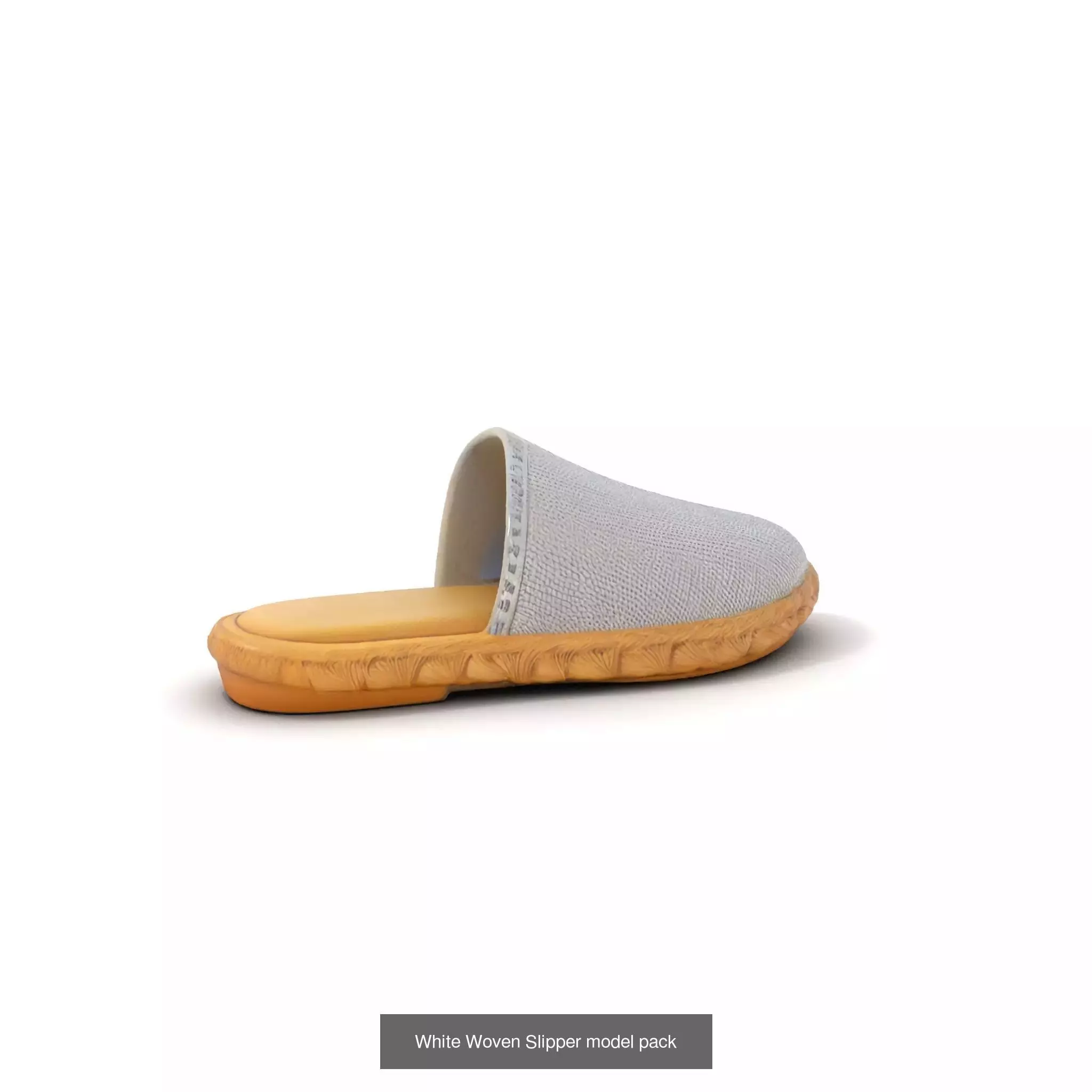 Chic Footwear Models Pack 3D Model Collection_32