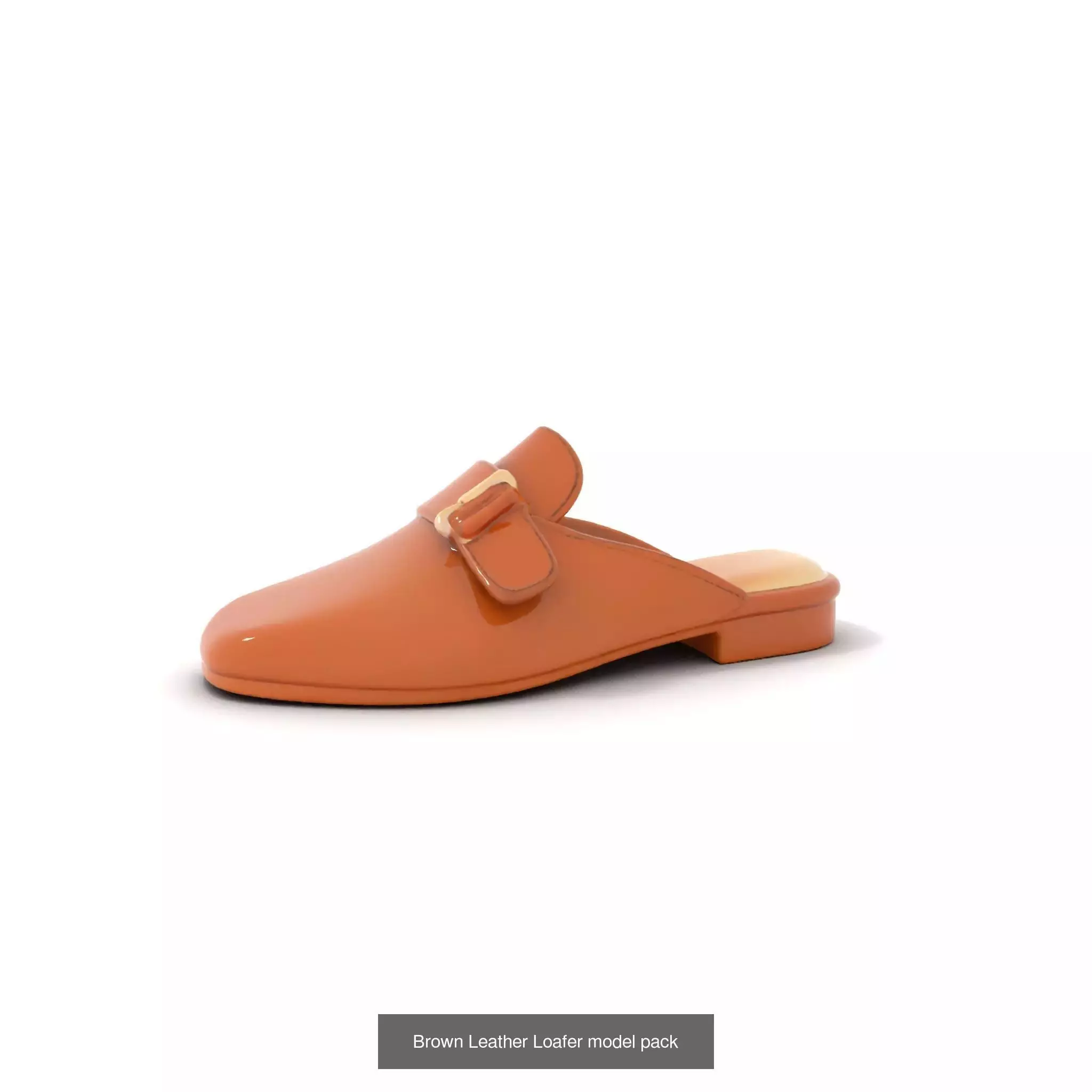 Chic Footwear Models Pack 3D Model Collection_28