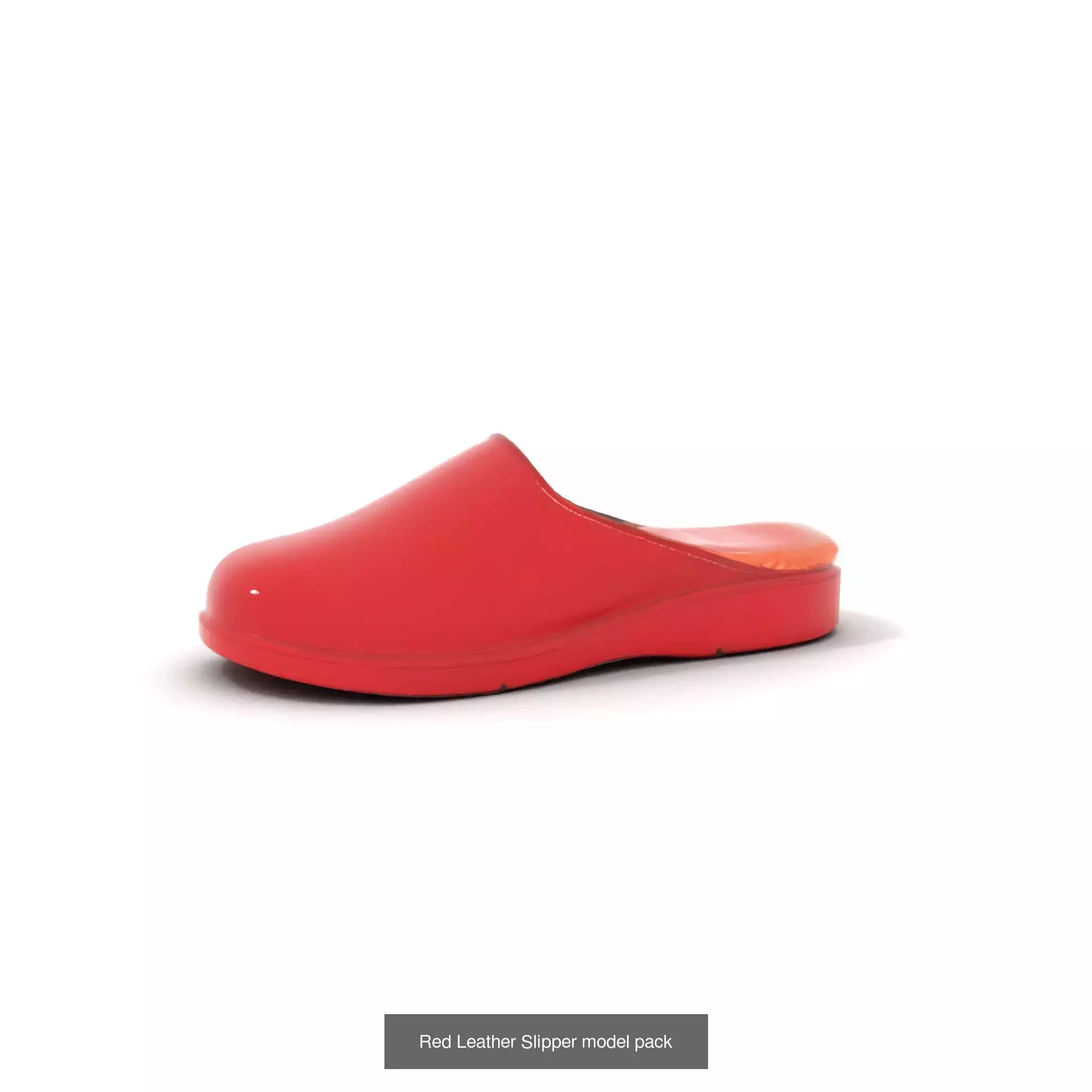 Chic Footwear Models Pack 3D Model Collection_42