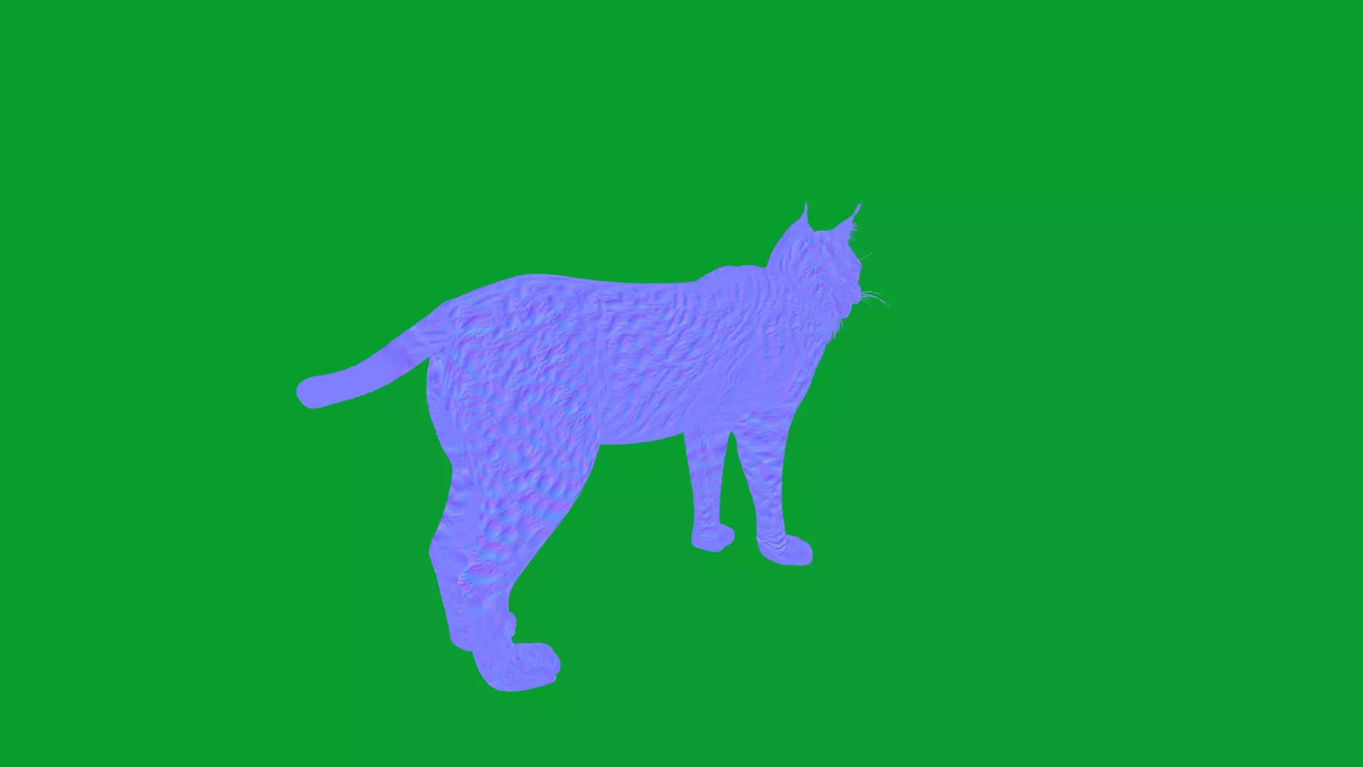 Eurasian Lynx Wild Cat Low-poly 3D model_23