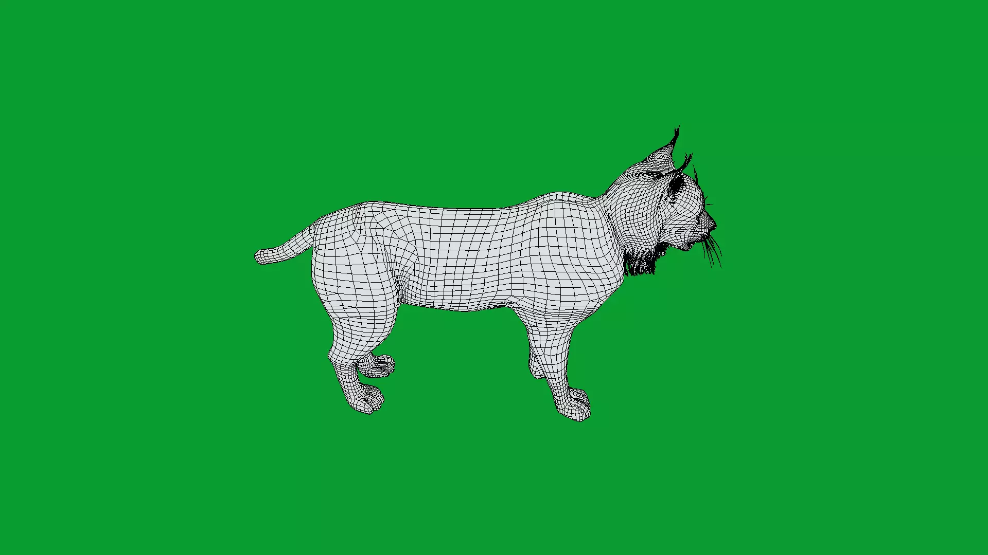 Eurasian Lynx Wild Cat Low-poly 3D model_22