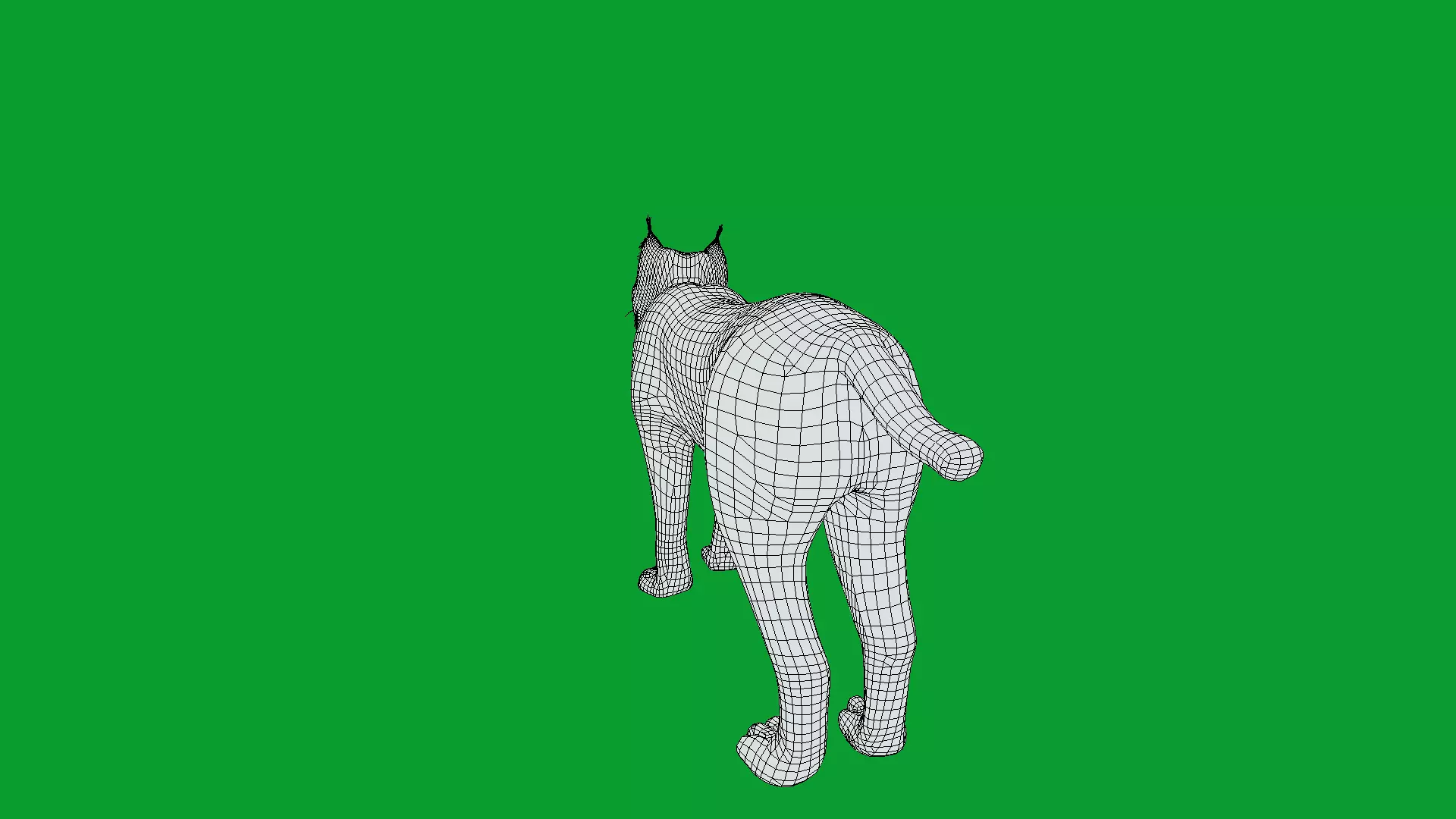 Eurasian Lynx Wild Cat Low-poly 3D model_40
