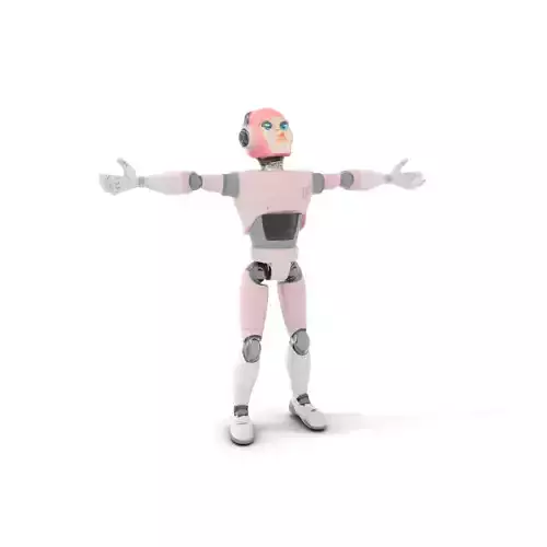 Pink Humanoid Robot model pack Low-poly 3D model