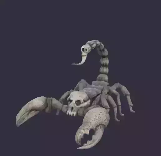 scorpion skull