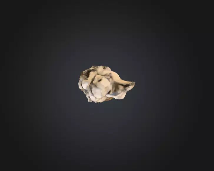 Wooden Totem of Whispering Souls Low-poly 3D model_13