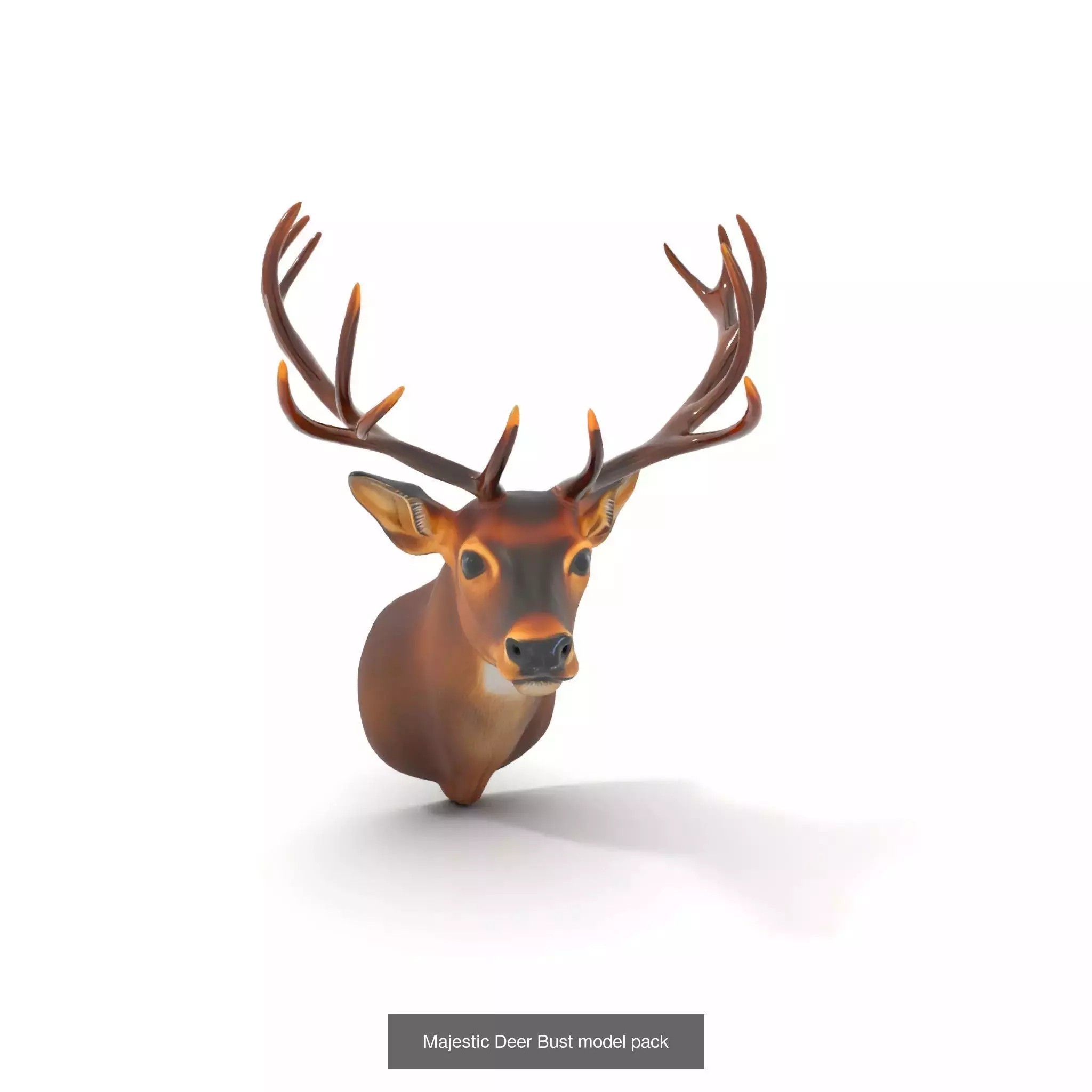 Ornate Artifacts Collection _47